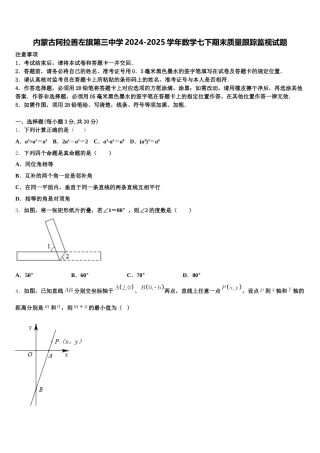内蒙古阿拉善左旗第三中学2024-2025学年数学七下期末质量跟踪监视试题含解析