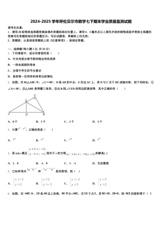 2024-2025学年呼伦贝尔市数学七下期末学业质量监测试题含解析