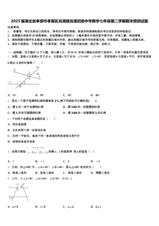 2025届湖北省孝感市孝南区肖港镇肖港初级中学数学七年级第二学期期末预测试题含解析