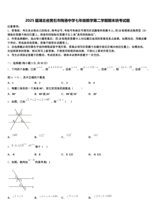 2025届湖北省黄石市陶港中学七年级数学第二学期期末统考试题含解析