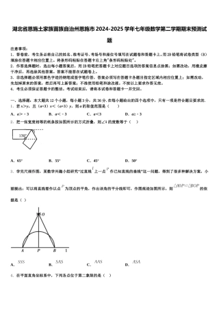 湖北省恩施土家族苗族自治州恩施市2024-2025学年七年级数学第二学期期末预测试题含解析