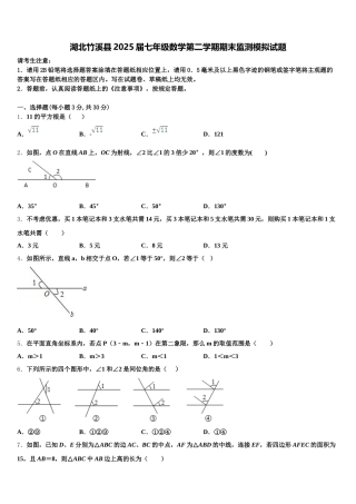 湖北竹溪县2025届七年级数学第二学期期末监测模拟试题含解析