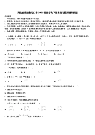 湖北省襄阳老河口市2025届数学七下期末复习检测模拟试题含解析