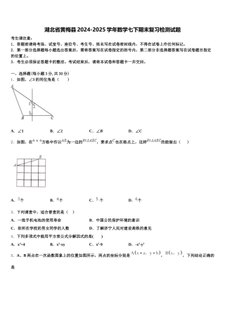 湖北省黄梅县2024-2025学年数学七下期末复习检测试题含解析
