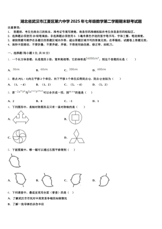 湖北省武汉市江夏区第六中学2025年七年级数学第二学期期末联考试题含解析