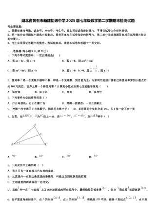 湖北省黄石市新建初级中学2025届七年级数学第二学期期末检测试题含解析