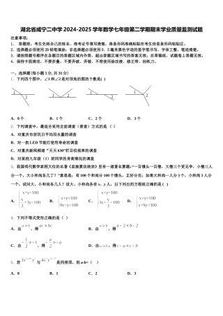 湖北省咸宁二中学2024-2025学年数学七年级第二学期期末学业质量监测试题含解析