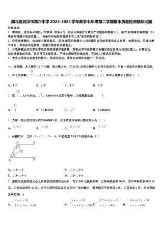 湖北省武汉市第六中学2024-2025学年数学七年级第二学期期末质量检测模拟试题含解析