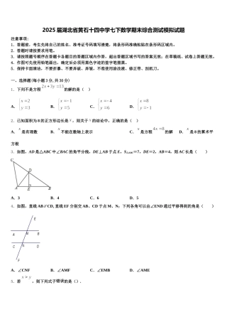 2025届湖北省黄石十四中学七下数学期末综合测试模拟试题含解析