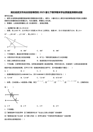 湖北省武汉市光谷实验等四校2025届七下数学期末学业质量监测模拟试题含解析