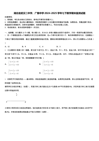 湖北省武汉二中学、广雅中学2024-2025学年七下数学期末监测试题含解析