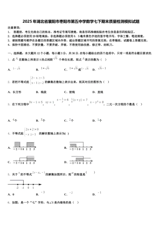 2025年湖北省襄阳市枣阳市第五中学数学七下期末质量检测模拟试题含解析