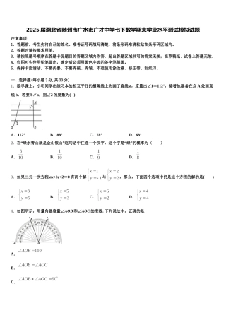 2025届湖北省随州市广水市广才中学七下数学期末学业水平测试模拟试题含解析