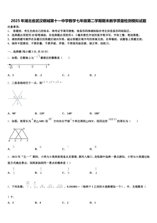 2025年湖北省武汉钢城第十一中学数学七年级第二学期期末教学质量检测模拟试题含解析