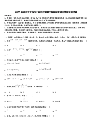 2025年湖北省宜昌市七年级数学第二学期期末学业质量监测试题含解析