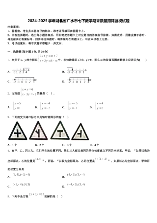 2024-2025学年湖北省广水市七下数学期末质量跟踪监视试题含解析