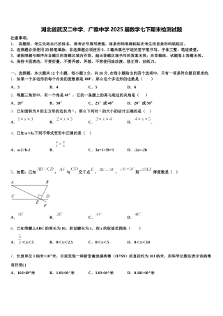 湖北省武汉二中学、广雅中学2025届数学七下期末检测试题含解析