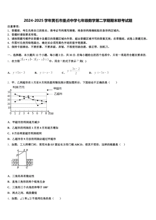 2024-2025学年黄石市重点中学七年级数学第二学期期末联考试题含解析