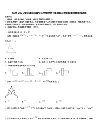 2024-2025学年湖北省咸宁二中学数学七年级第二学期期末经典模拟试题含解析