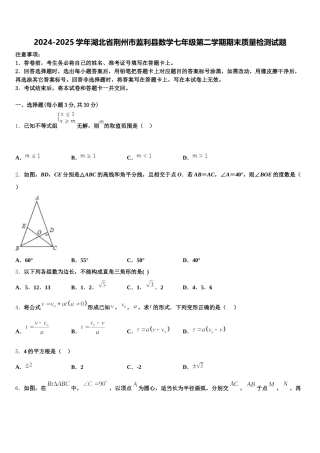 2024-2025学年湖北省荆州市监利县数学七年级第二学期期末质量检测试题含解析