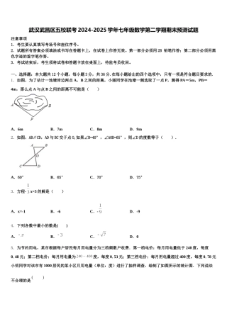 武汉武昌区五校联考2024-2025学年七年级数学第二学期期末预测试题含解析