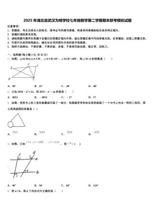 2025年湖北省武汉为明学校七年级数学第二学期期末联考模拟试题含解析