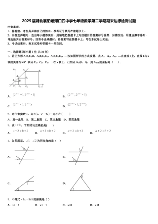 2025届湖北襄阳老河口四中学七年级数学第二学期期末达标检测试题含解析