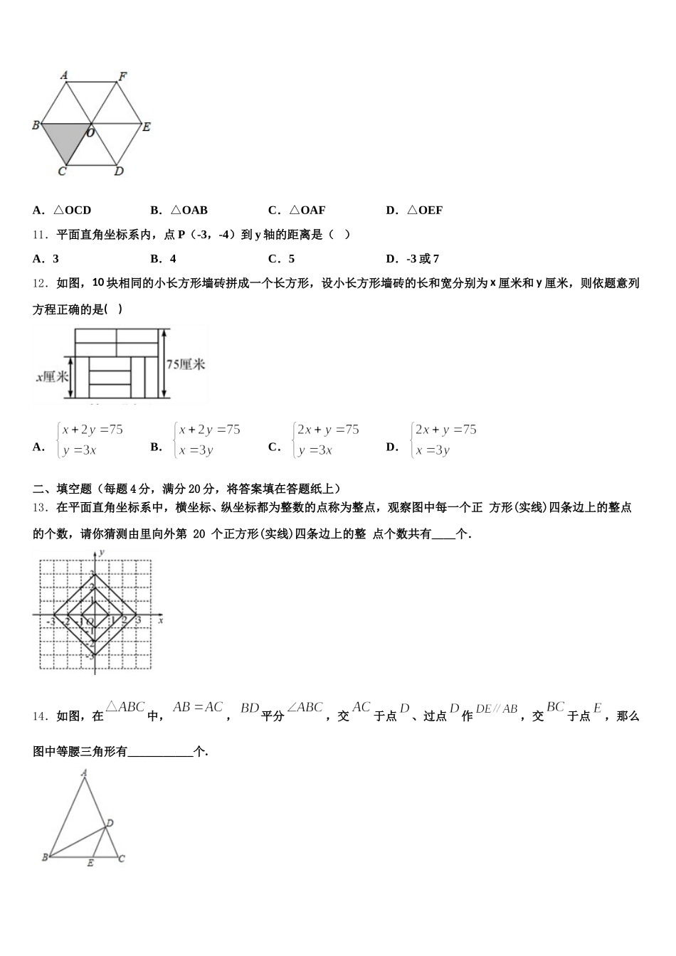 2025届湖北省武汉大附中数学七下期末复习检测模拟试题含解析_第3页