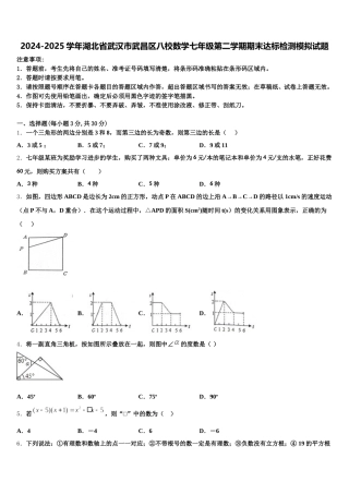 2024-2025学年湖北省武汉市武昌区八校数学七年级第二学期期末达标检测模拟试题含解析