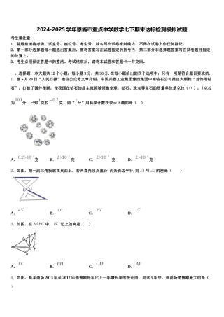 2024-2025学年恩施市重点中学数学七下期末达标检测模拟试题含解析