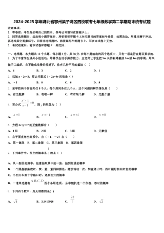 2024-2025学年湖北省鄂州梁子湖区四校联考七年级数学第二学期期末统考试题含解析