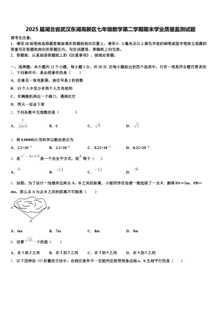 2025届湖北省武汉东湖高新区七年级数学第二学期期末学业质量监测试题含解析