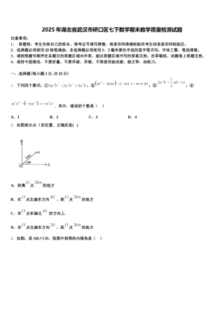 2025年湖北省武汉市硚口区七下数学期末教学质量检测试题含解析