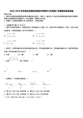 2024-2025学年湖北省枣阳市钱岗中学数学七年级第二学期期末监测试题含解析