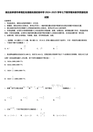 湖北省孝感市孝南区肖港镇肖港初级中学2024-2025学年七下数学期末教学质量检测试题含解析