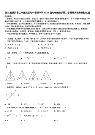 湖北省武汉市江岸区武汉七一华源中学2025届七年级数学第二学期期末统考模拟试题含解析