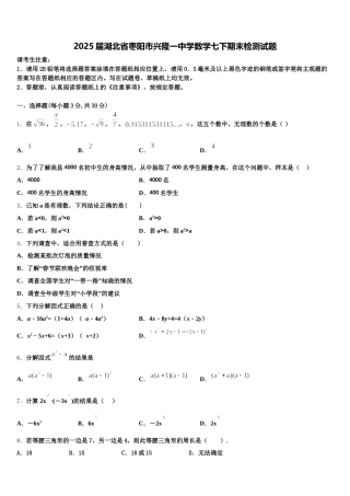2025届湖北省枣阳市兴隆一中学数学七下期末检测试题含解析
