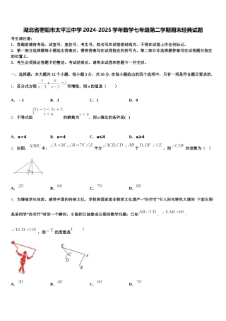 湖北省枣阳市太平三中学2024-2025学年数学七年级第二学期期末经典试题含解析