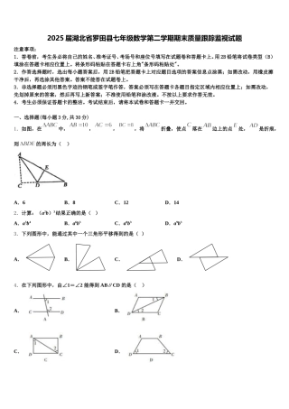 2025届湖北省罗田县七年级数学第二学期期末质量跟踪监视试题含解析