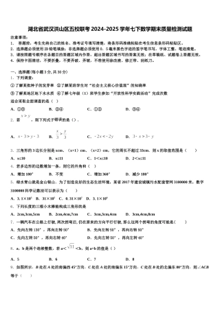 湖北省武汉洪山区五校联考2024-2025学年七下数学期末质量检测试题含解析