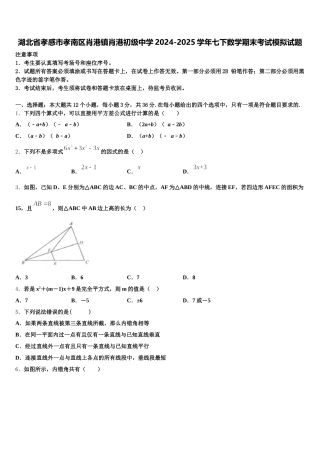 湖北省孝感市孝南区肖港镇肖港初级中学2024-2025学年七下数学期末考试模拟试题含解析