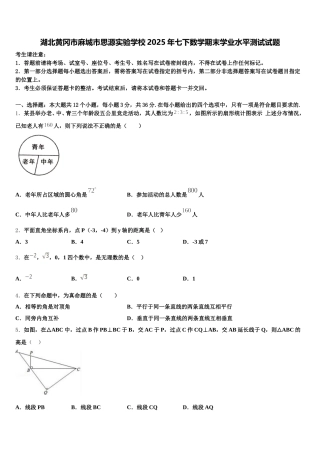 湖北黄冈市麻城市思源实验学校2025年七下数学期末学业水平测试试题含解析