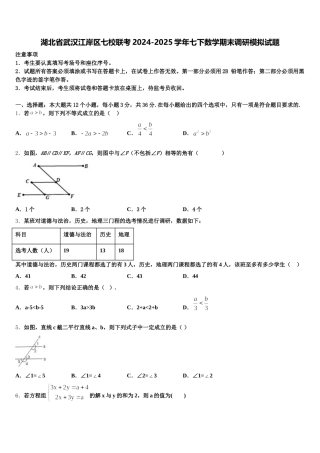 湖北省武汉江岸区七校联考2024-2025学年七下数学期末调研模拟试题含解析