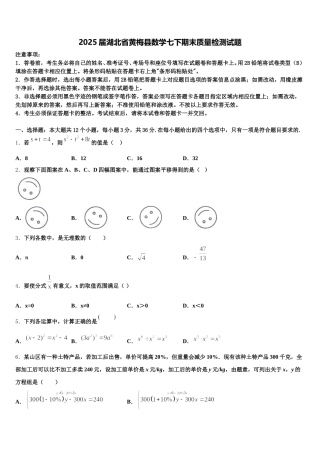 2025届湖北省黄梅县数学七下期末质量检测试题含解析