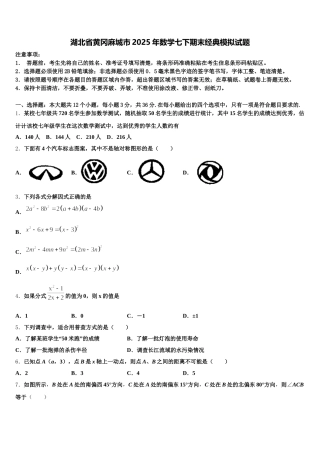 湖北省黄冈麻城市2025年数学七下期末经典模拟试题含解析