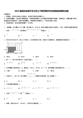 2025届湖北省咸宁市三校七下数学期末学业质量监测模拟试题含解析