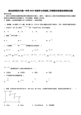 湖北省枣阳市兴隆一中学2025年数学七年级第二学期期末质量检测模拟试题含解析