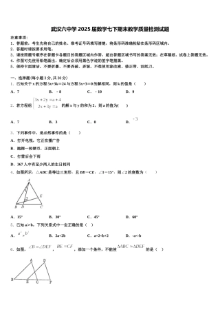 武汉六中学2025届数学七下期末教学质量检测试题含解析