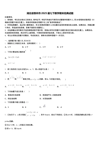 湖北省鄂州市2025届七下数学期末经典试题含解析