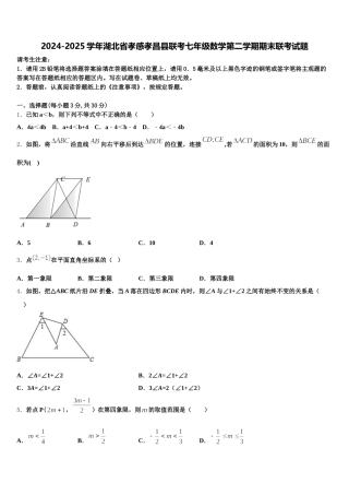 2024-2025学年湖北省孝感孝昌县联考七年级数学第二学期期末联考试题含解析